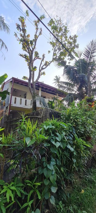 Wimala B&B เบนโตตา ภายนอก รูปภาพ